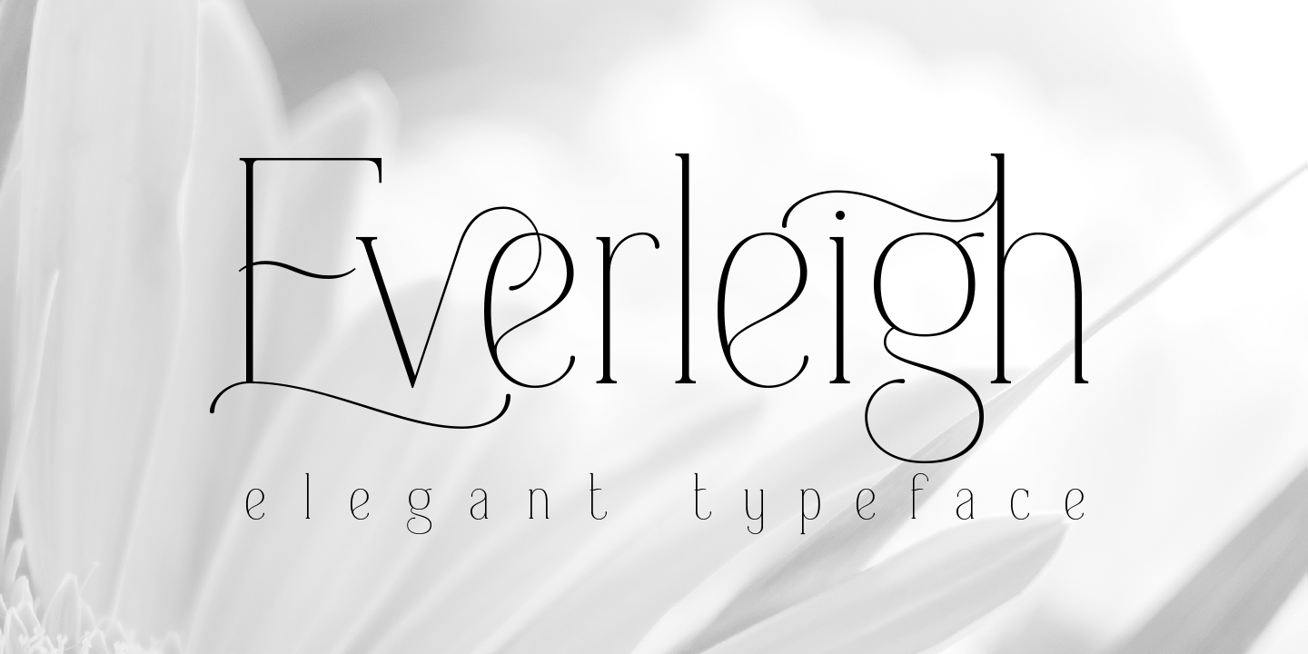 フォント Everleigh